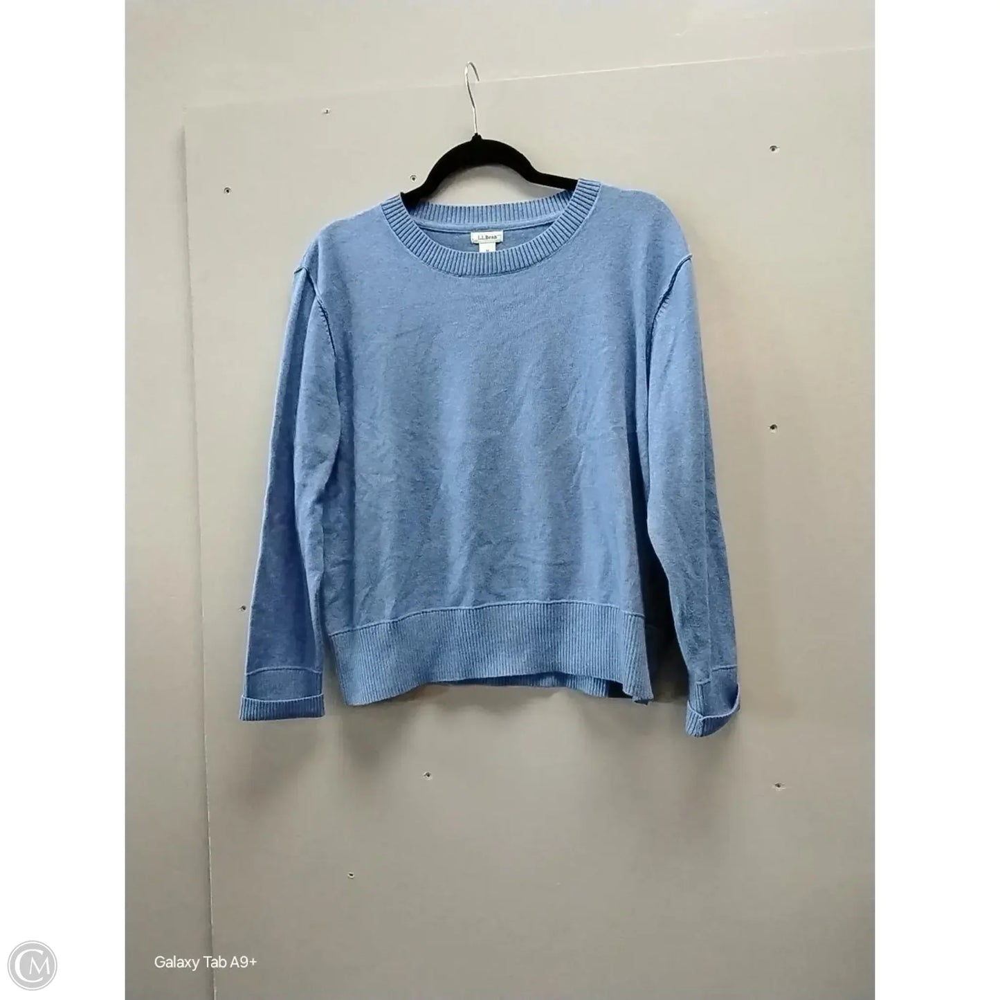Sweater By L.l. Bean In Blue, Size: M