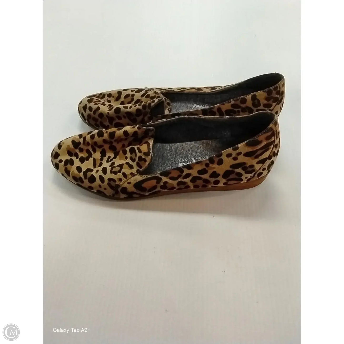 Shoes Flats By Dr Scholls In Animal Print, Size: 9.5