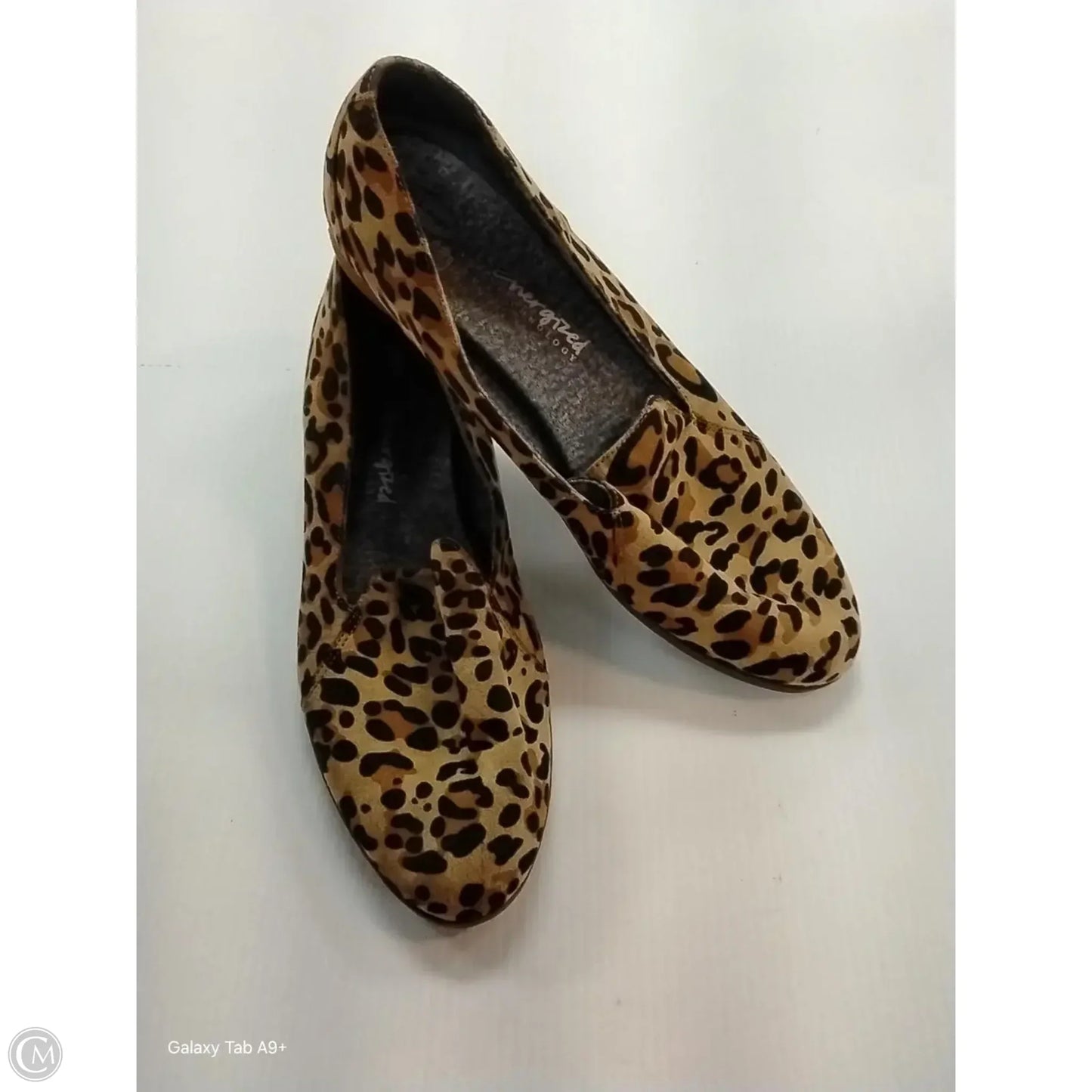 Shoes Flats By Dr Scholls In Animal Print, Size: 9.5