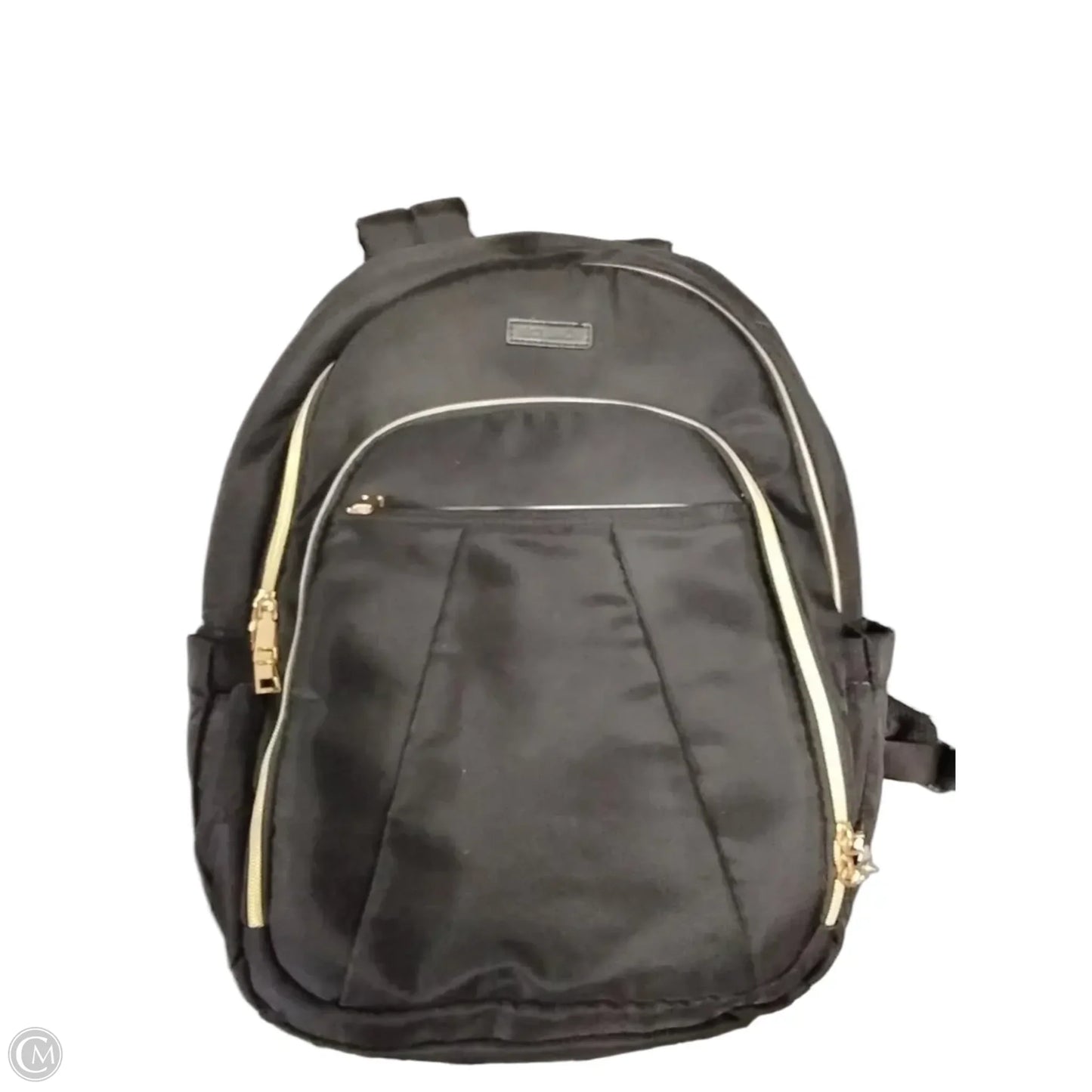 Backpack By Cme, Size: Large
