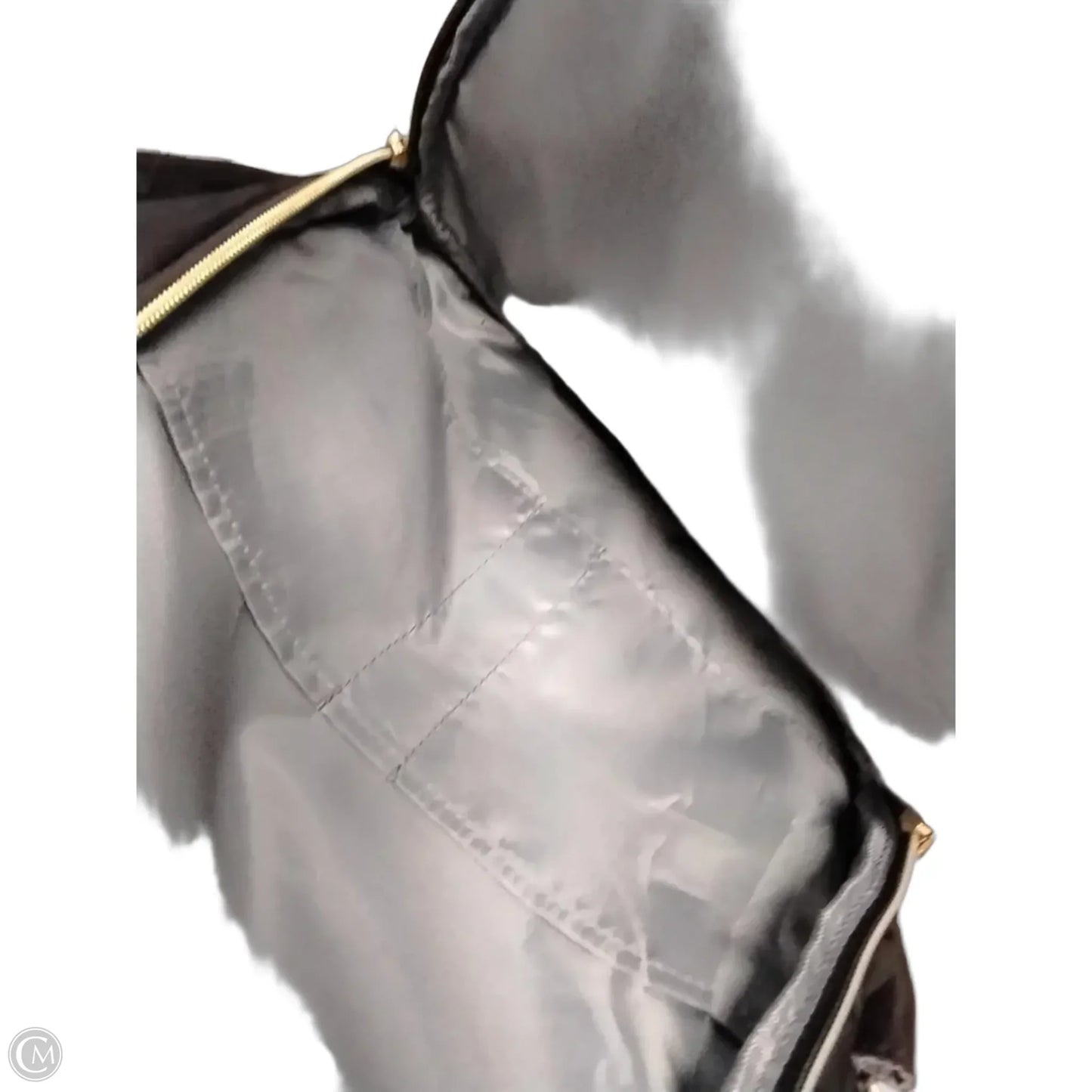 Backpack By Cme, Size: Large