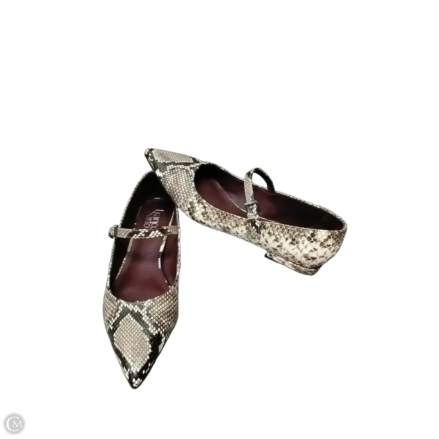 Shoes Flats By Franco Sarto In Animal Print, Size: 9