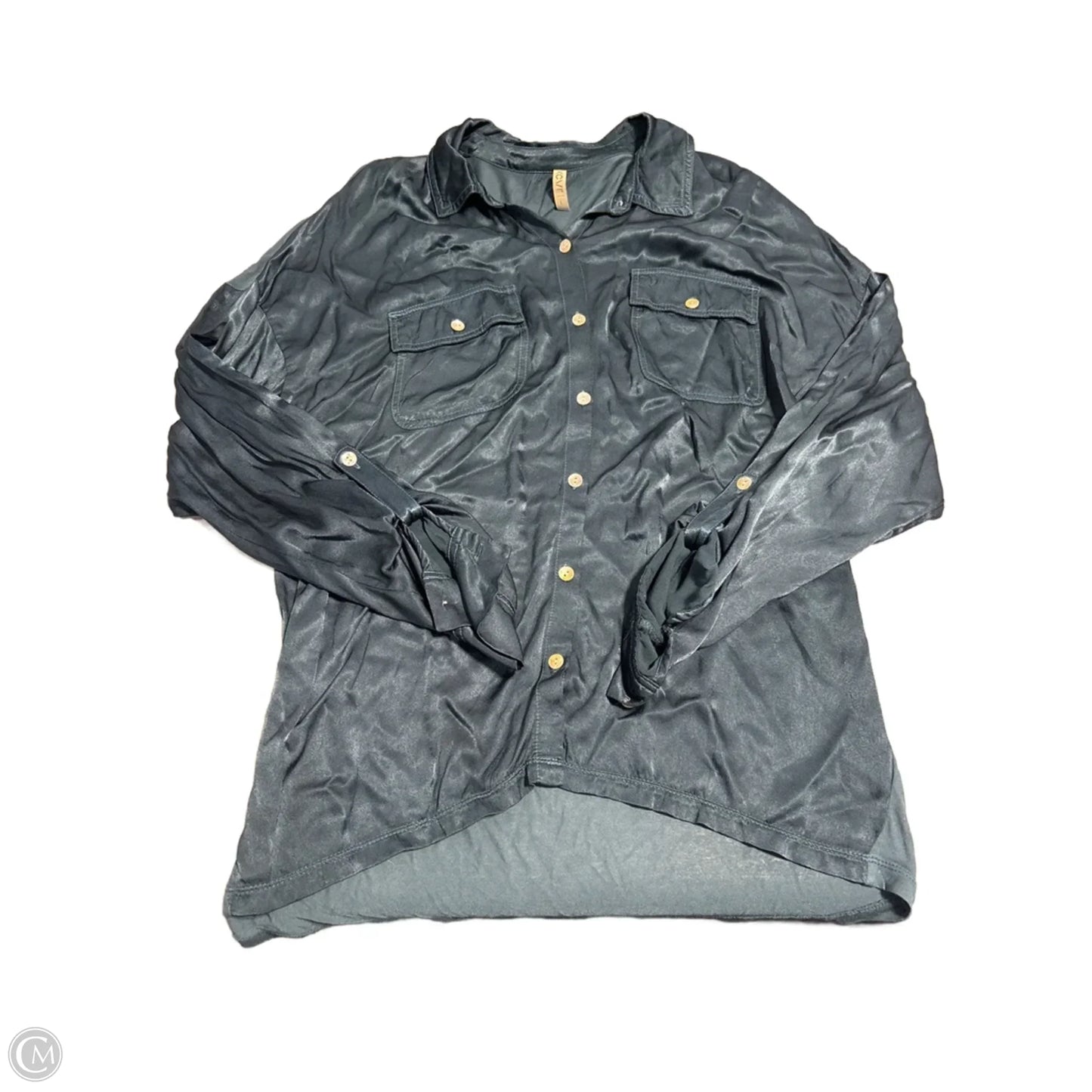 Top Long Sleeve By Xcvi In Teal, Size: L