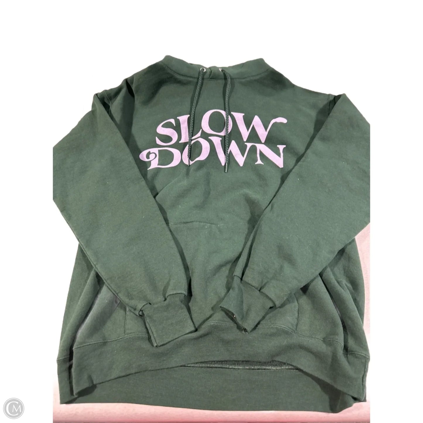 Sweatshirt Hoodie By Hanes In Green, Size: M