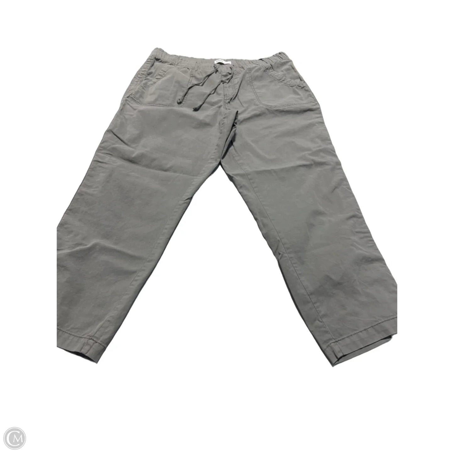 Pants Cargo & Utility By Sonoma In Grey, Size: L