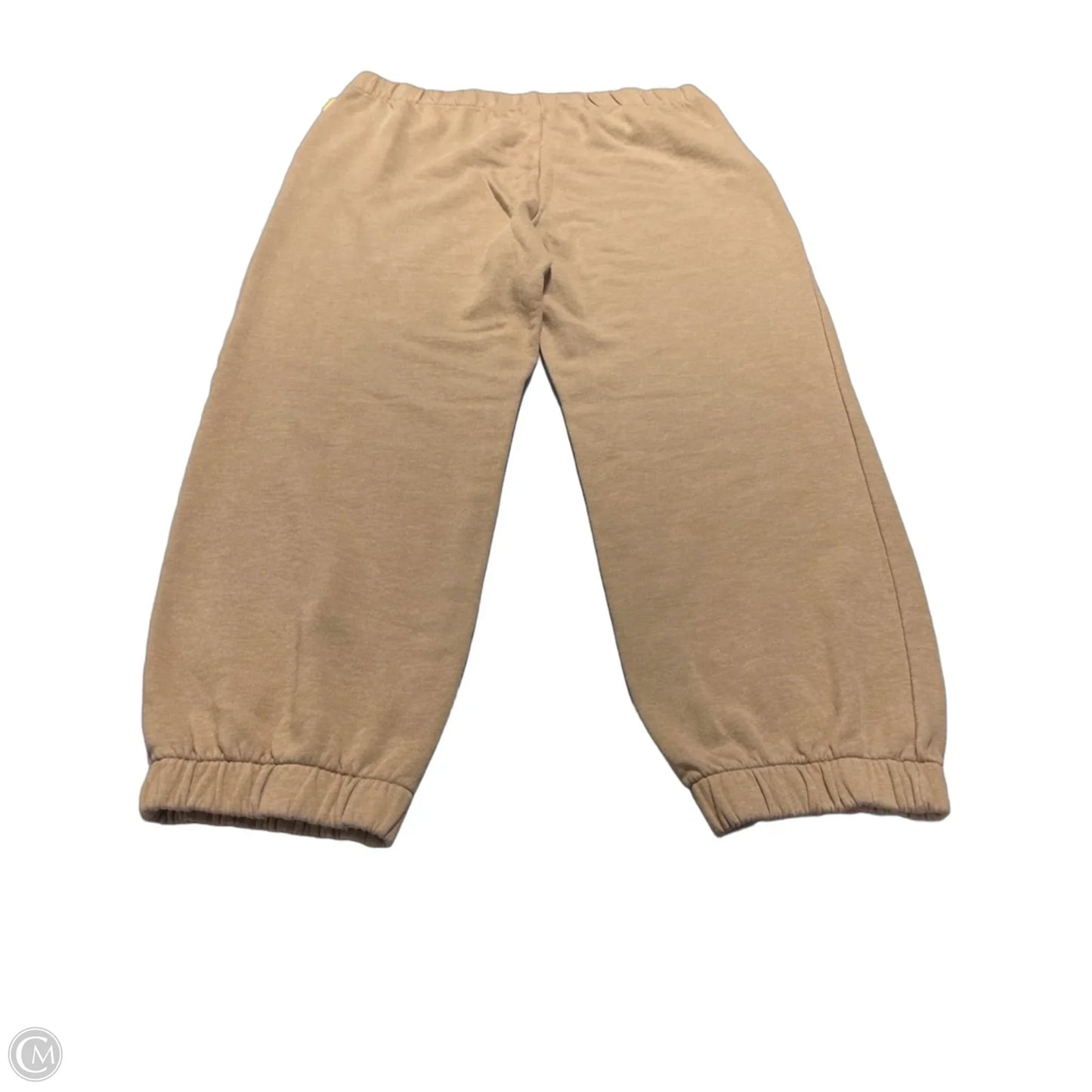 Athletic Pants By Wild Fable In Tan, Size: Xxl
