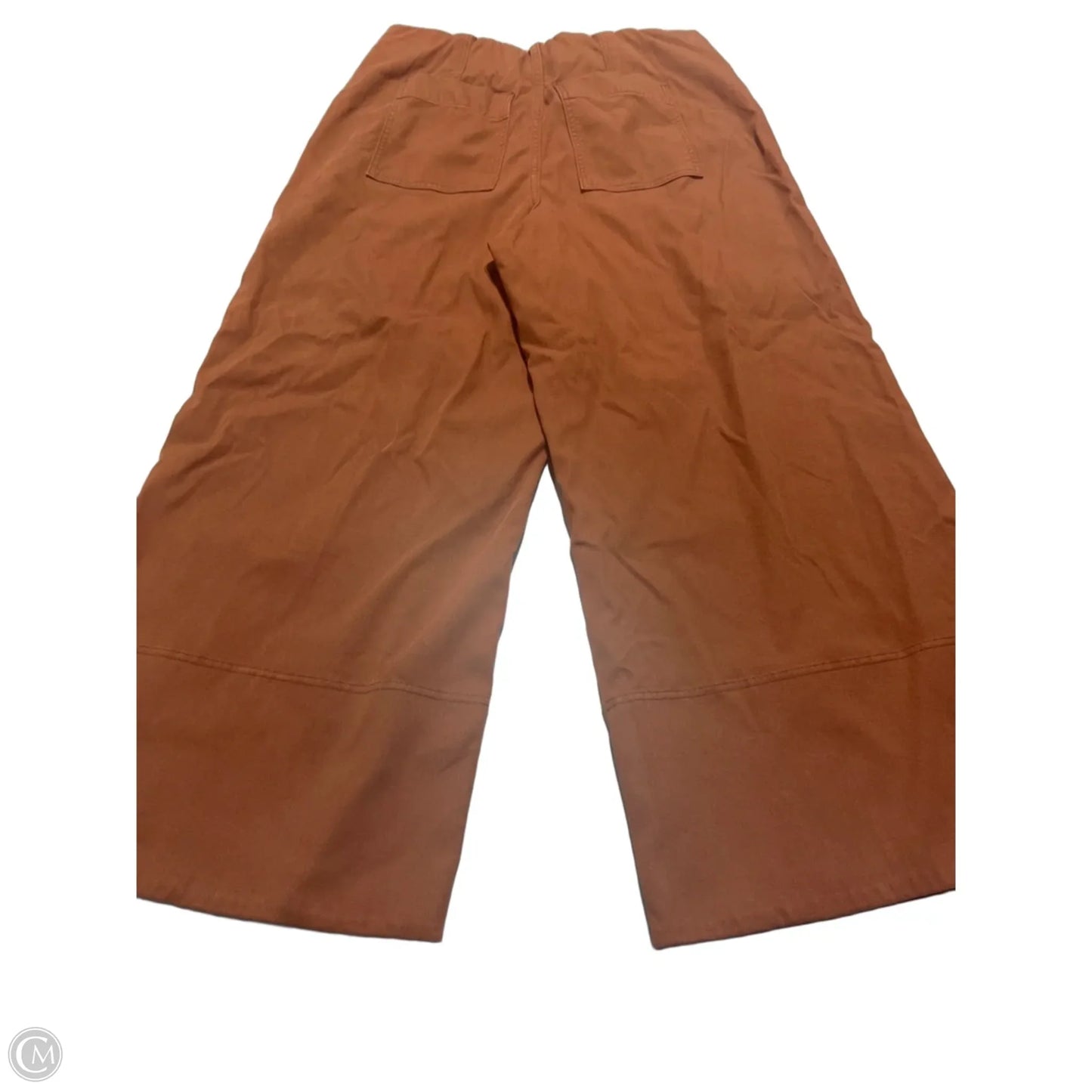 Pants Other By Spanx In Brown, Size: Xl