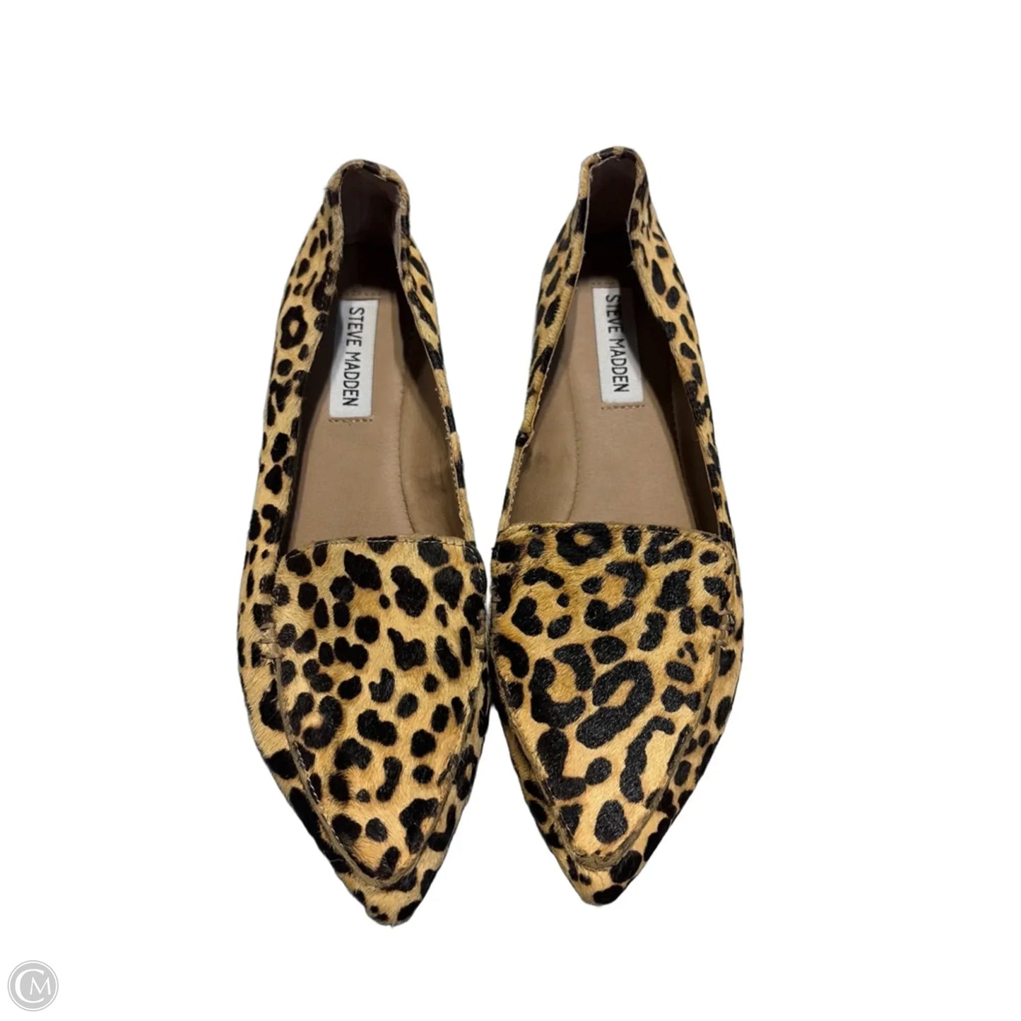 Shoes Flats By Steve Madden In Animal Print, Size: 7.5
