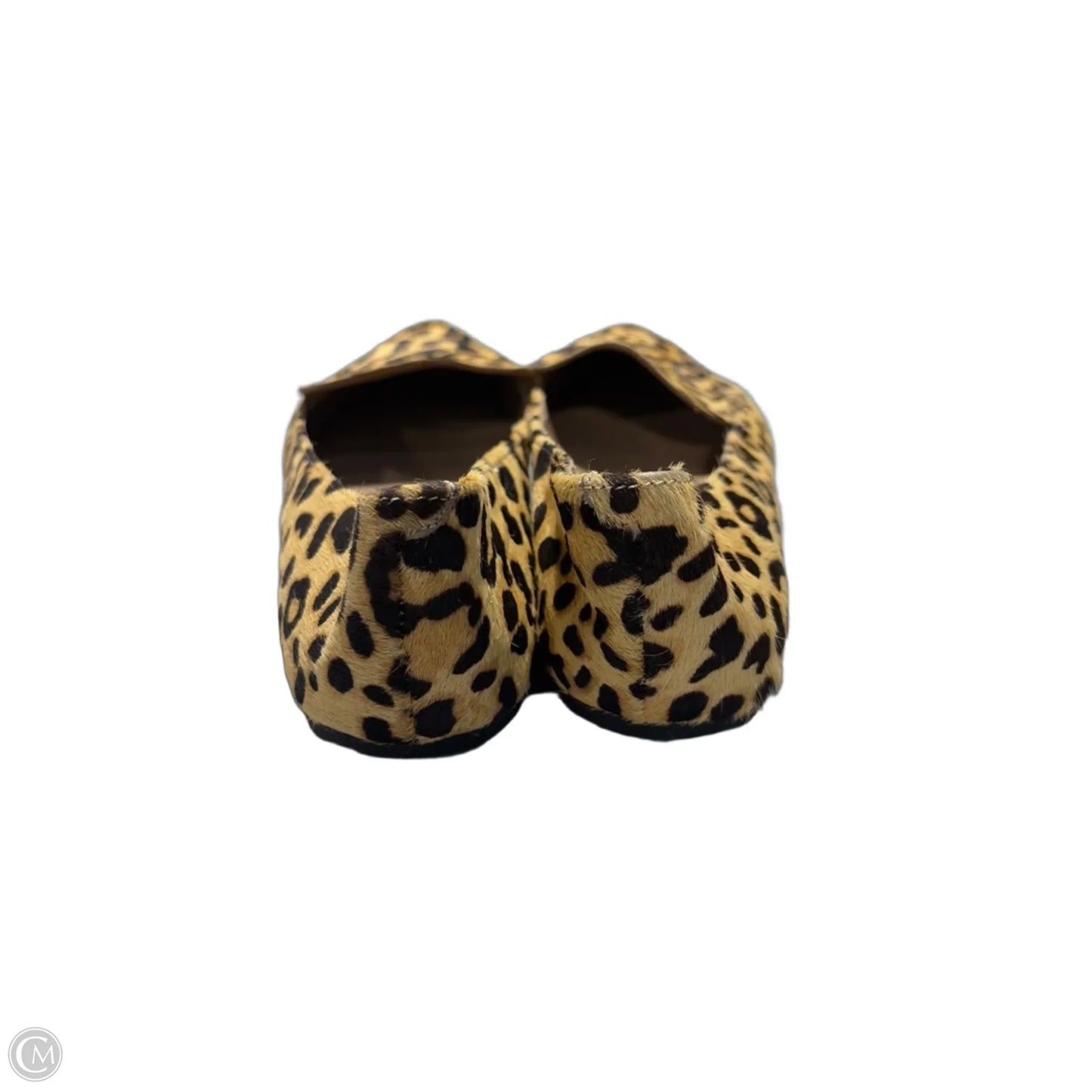 Shoes Flats By Steve Madden In Animal Print, Size: 7.5
