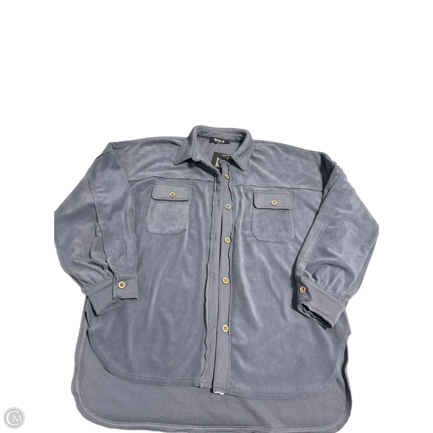 Top Long Sleeve By Blue B In Blue, Size: L