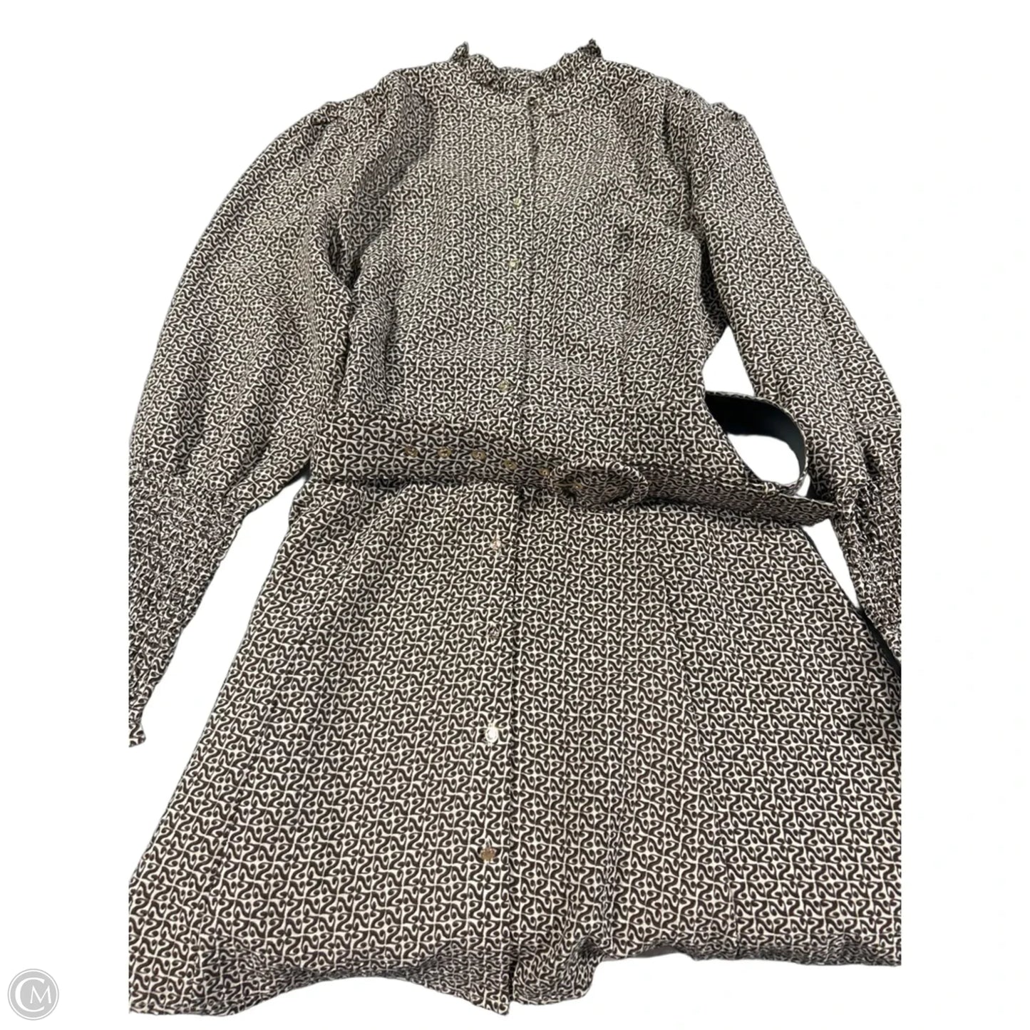 Dress Casual Short By Bishop + Young In Brown, Size: Xs