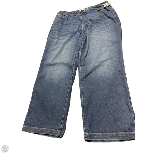 Jeans Boot Cut By Lane Bryant In Blue Denim, Size: 20