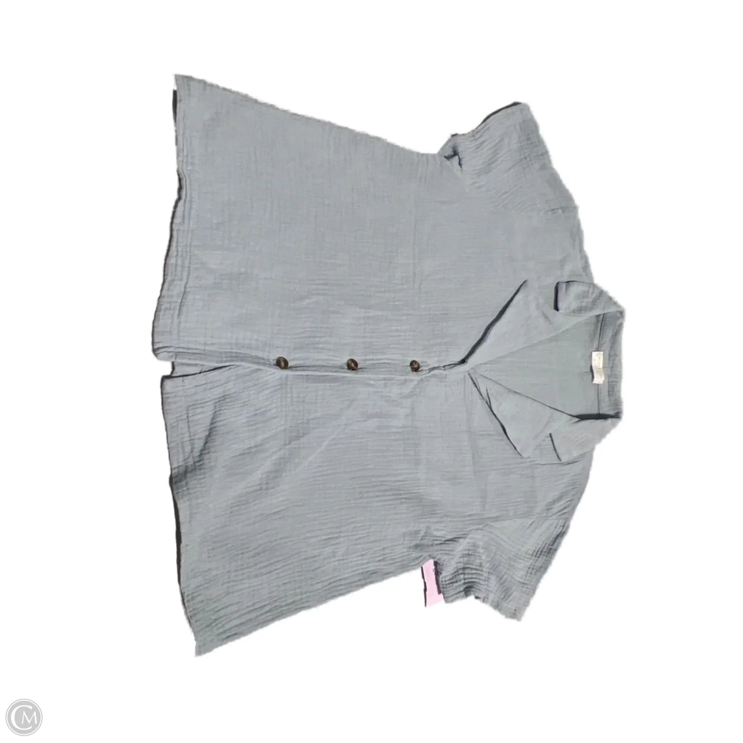 Top Short Sleeve By Altard State In Blue, Size: S