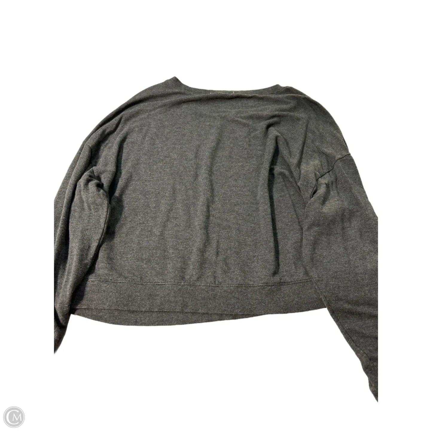 Top Long Sleeve By Z Supply In Grey, Size: L