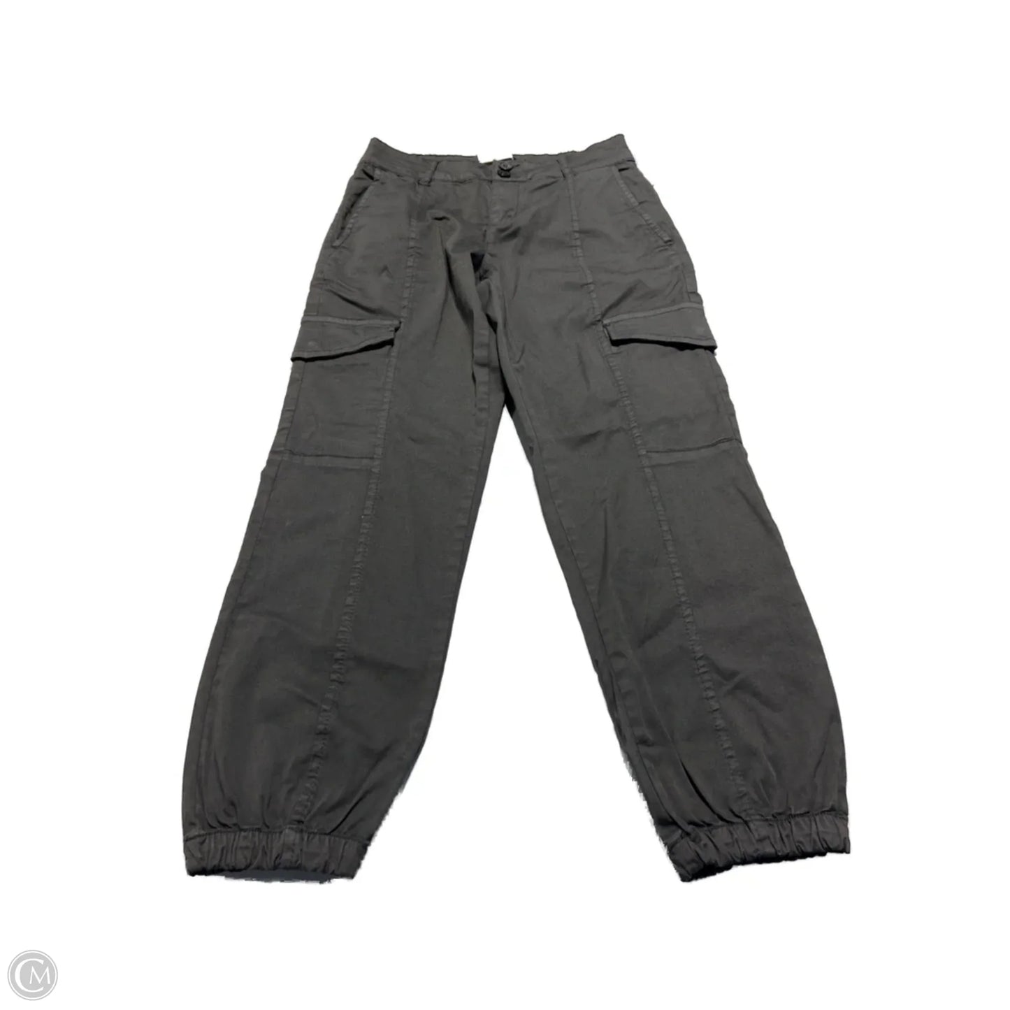 Pants Cargo & Utility By Sanctuary In Grey, Size: 2