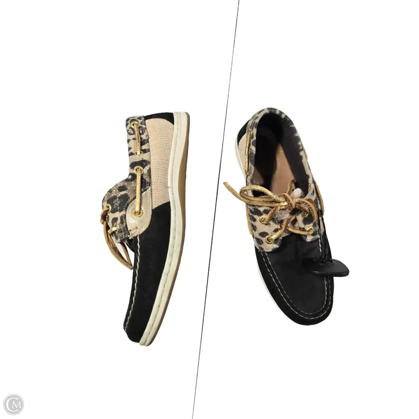 Shoes Flats By Sperry In Animal Print, Size: 8