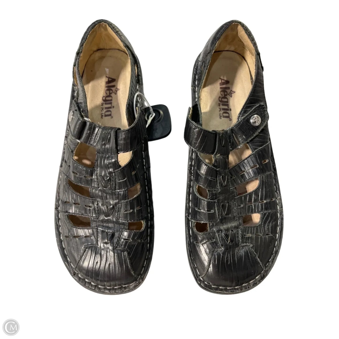 Shoes Flats By Alegria In Black, Size: 9.5