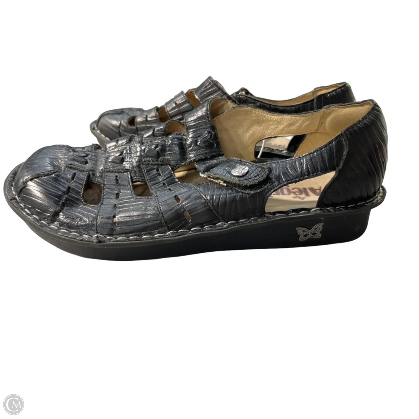 Shoes Flats By Alegria In Black, Size: 9.5