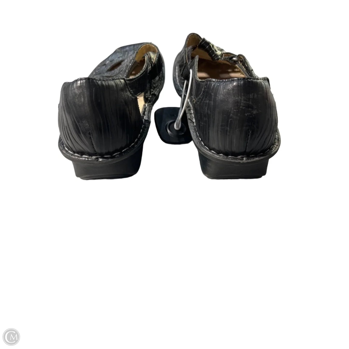 Shoes Flats By Alegria In Black, Size: 9.5