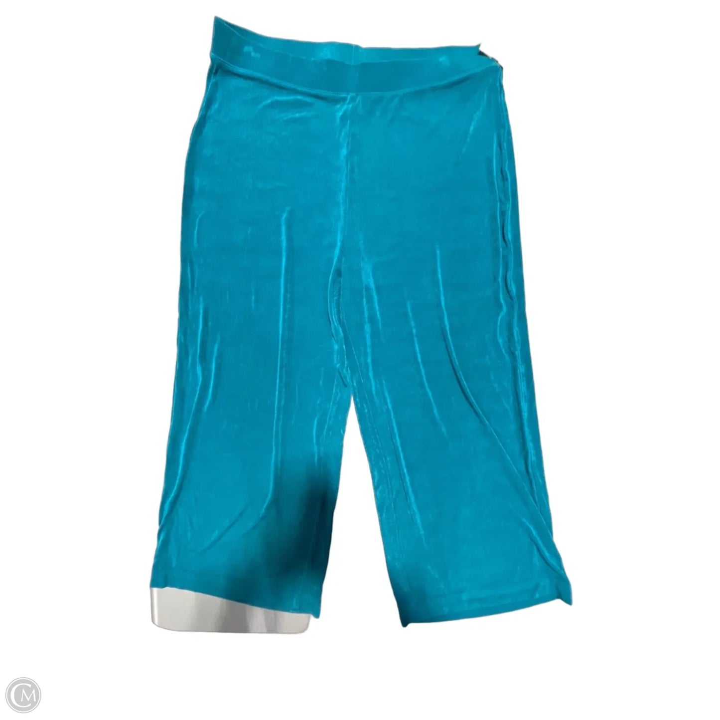 Pants Other By Chicos In Teal, Size: 12