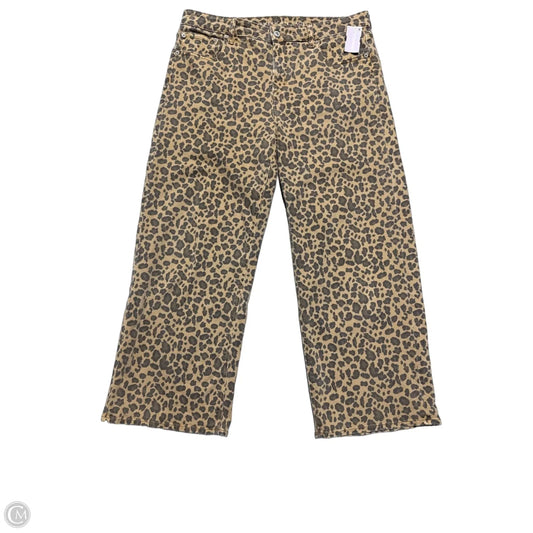 Jeans Straight By American Eagle In Animal Print, Size: 10