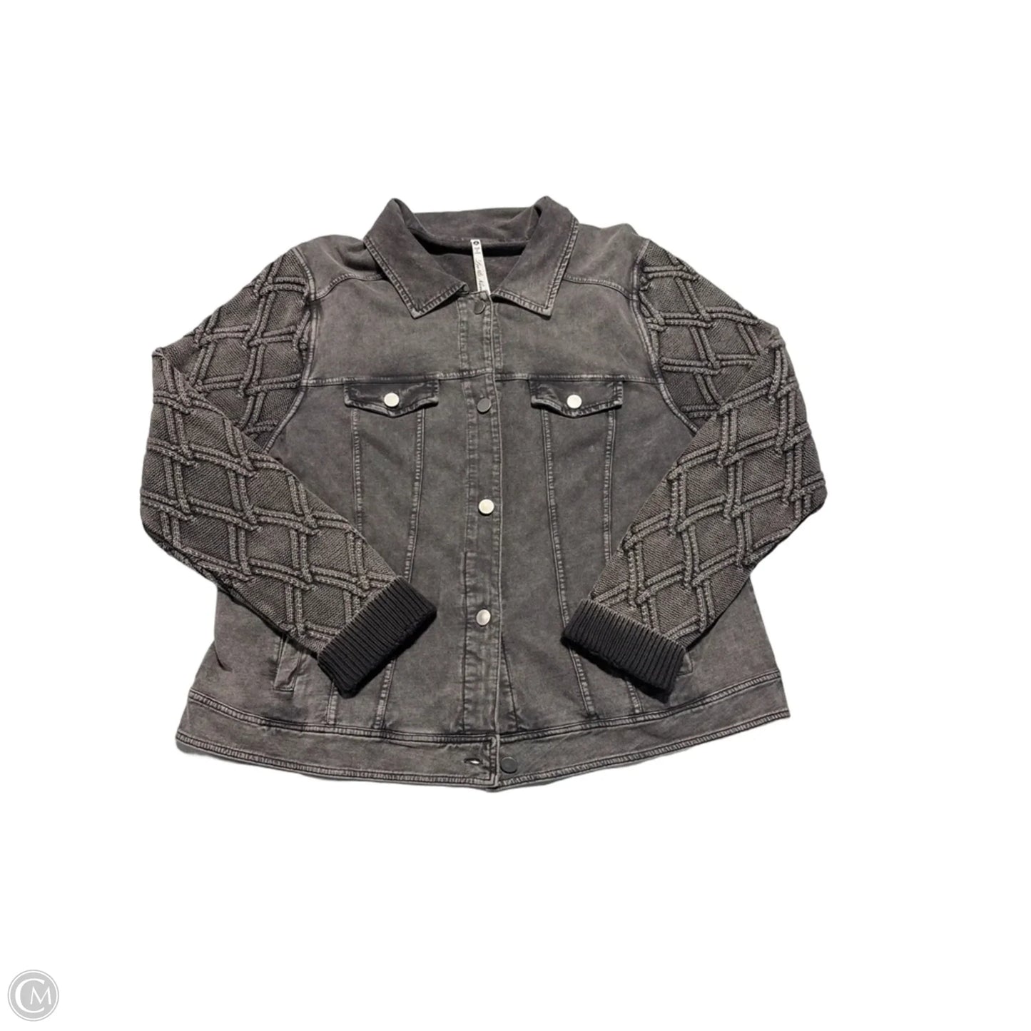 Jacket Other By Leo And Nicole In Grey, Size: L