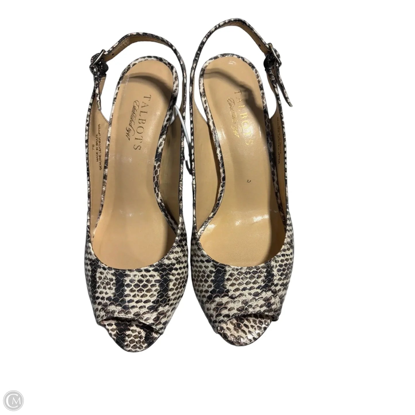 Shoes Heels Kitten By Talbots In Animal Print, Size: 7