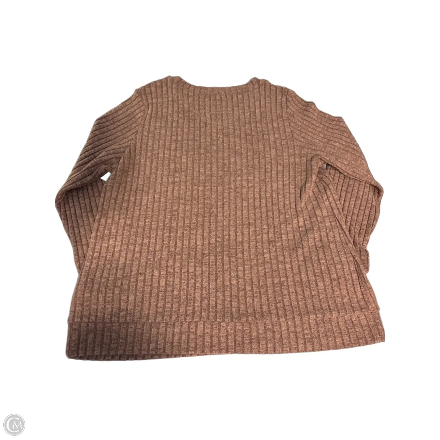 Top Long Sleeve By Automet In Tan, Size: 2x