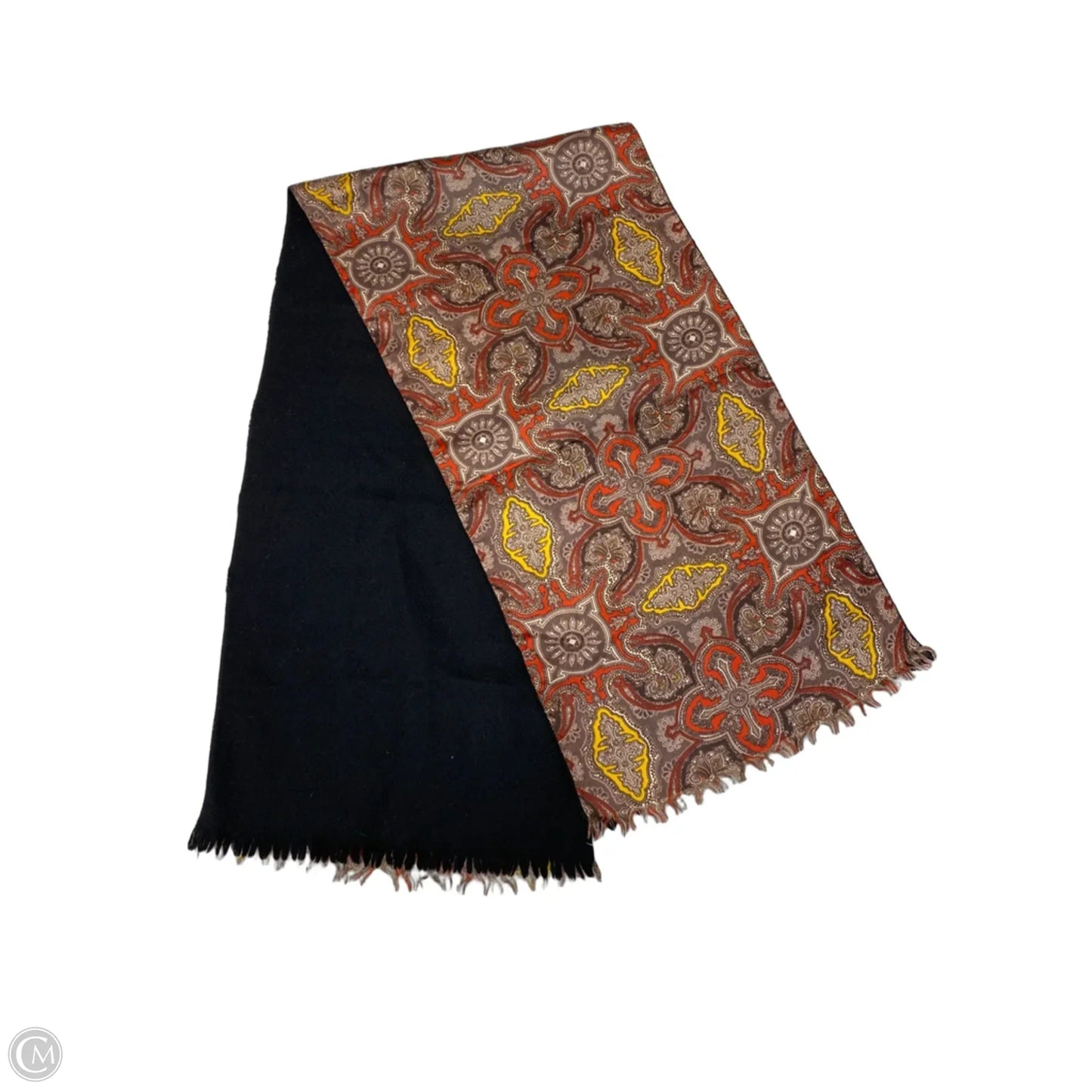 Scarf Winter By Clothes Mentor In Multi-colored