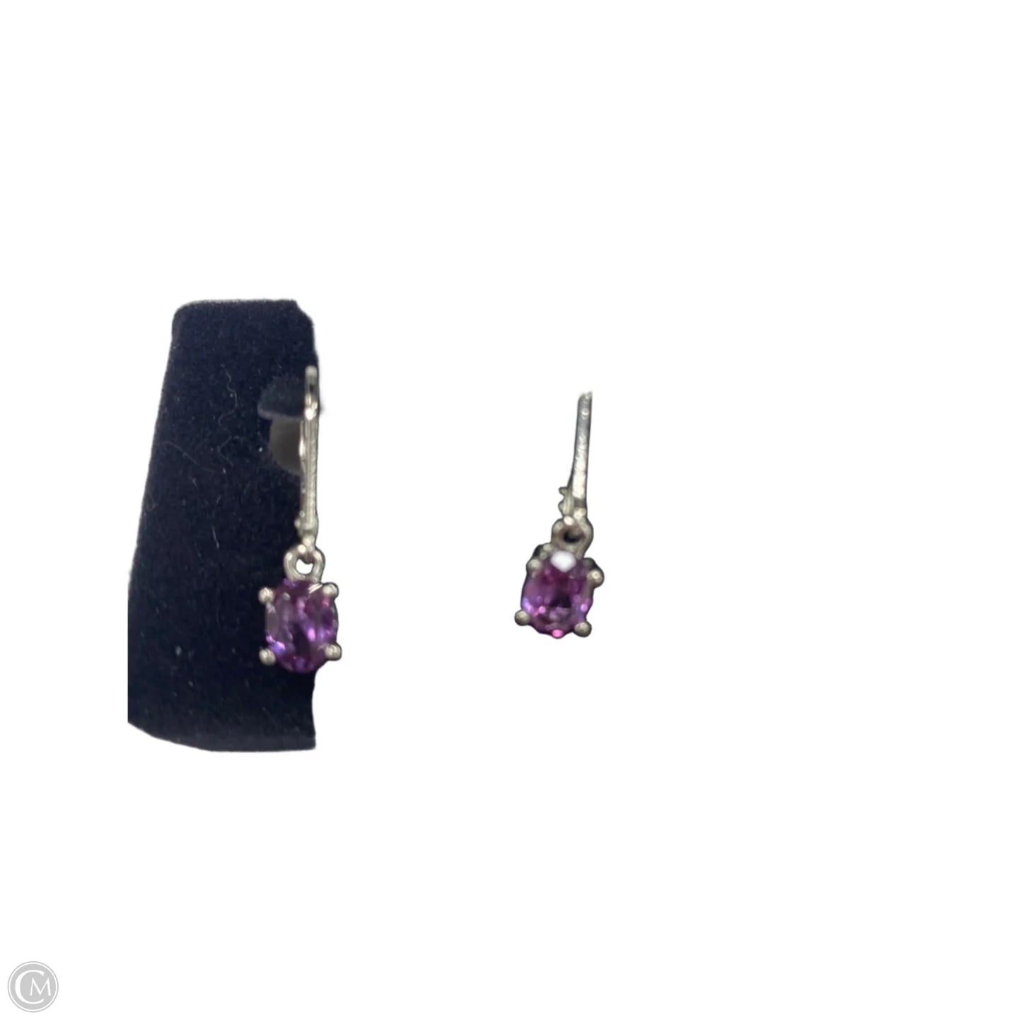 Earrings Dangle/drop By Clothes Mentor