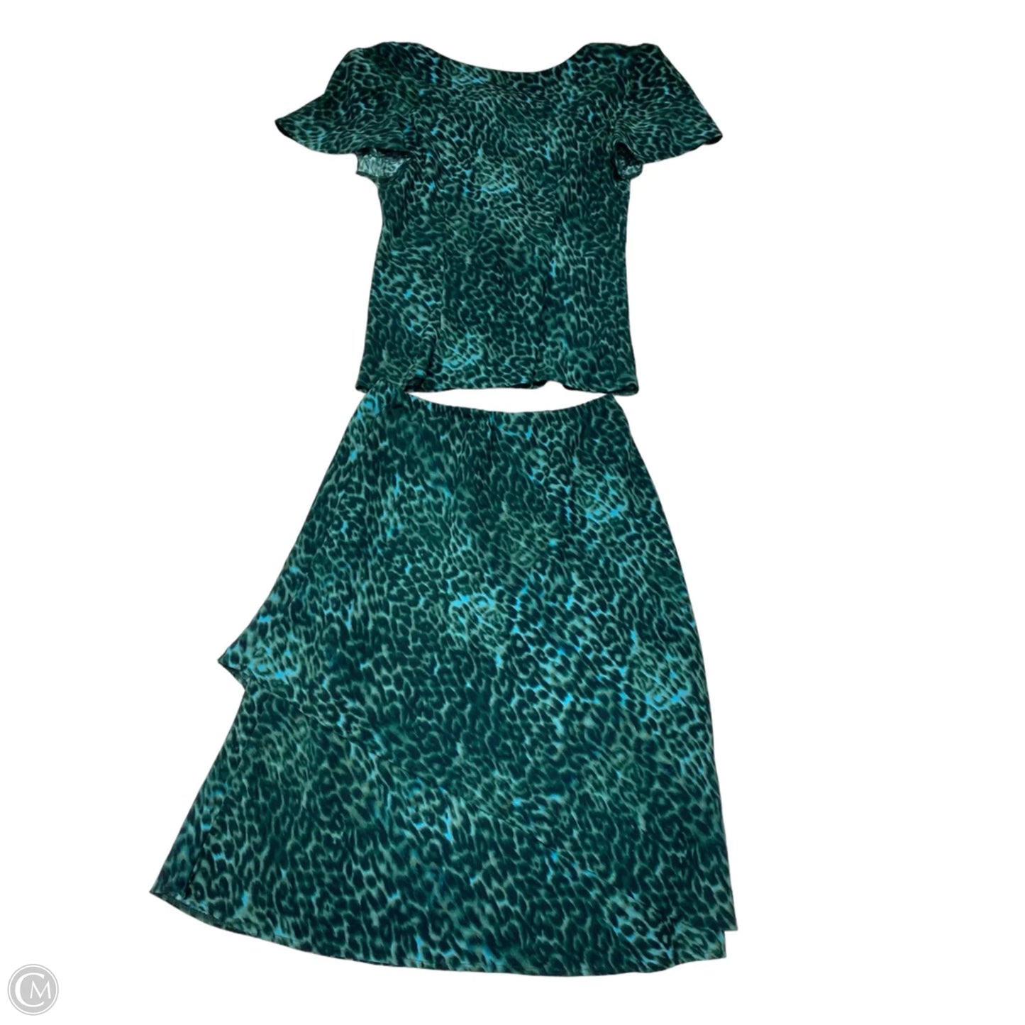 Skirt Set 2pc By Clothes Mentor In Green, Size: 4p