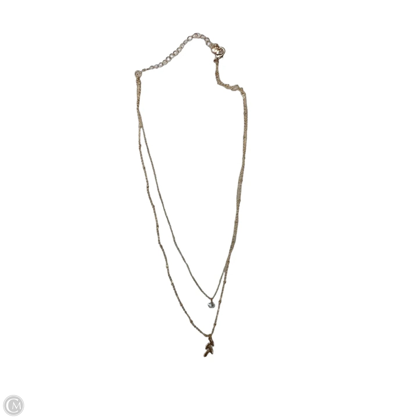 Necklace Layered By Clothes Mentor