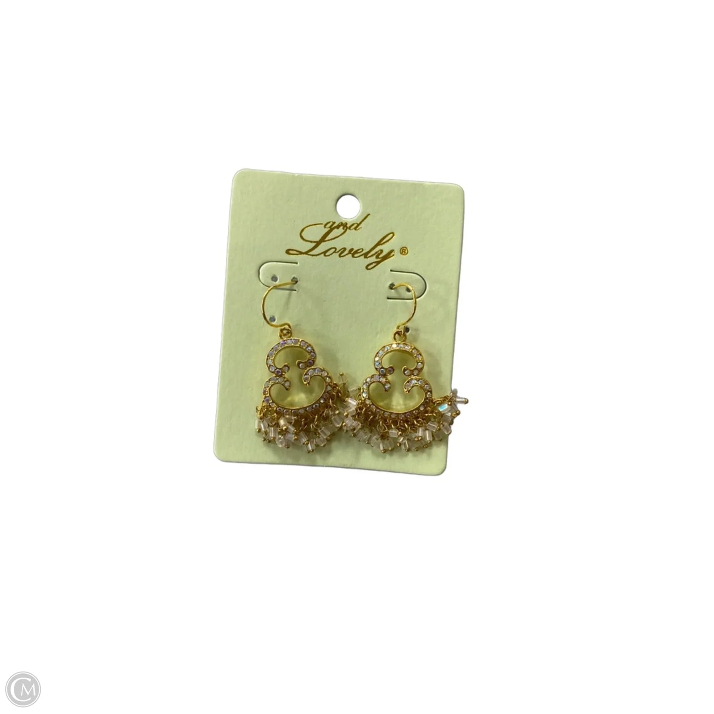 Earrings Dangle/drop By Clothes Mentor