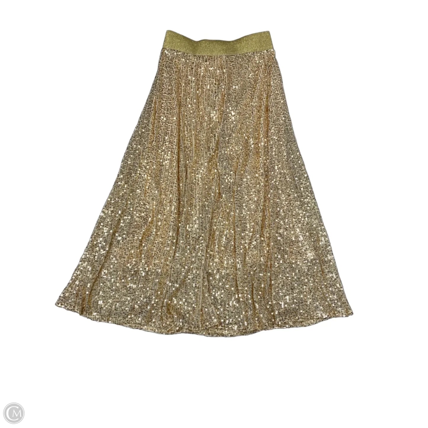 Skirt Maxi By Dazy In Gold, Size: 4