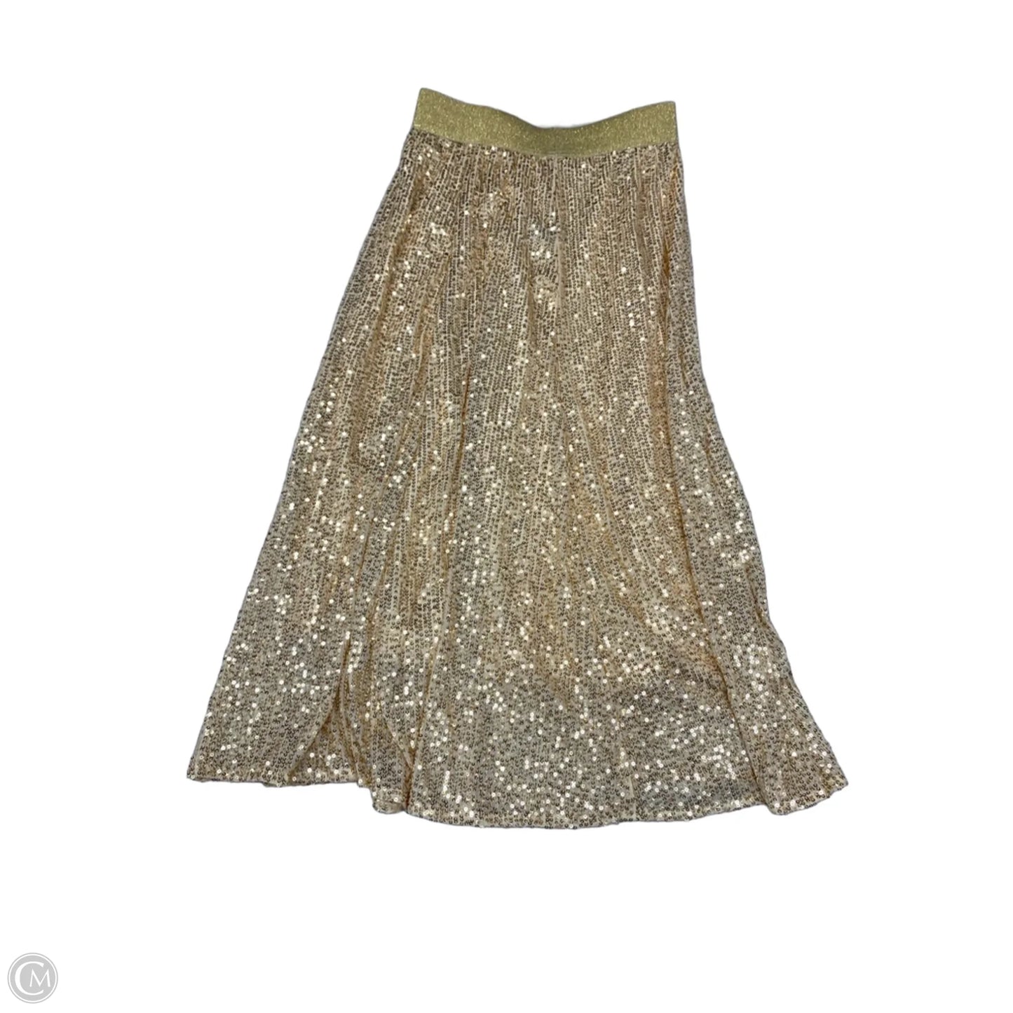 Skirt Maxi By Dazy In Gold, Size: 4