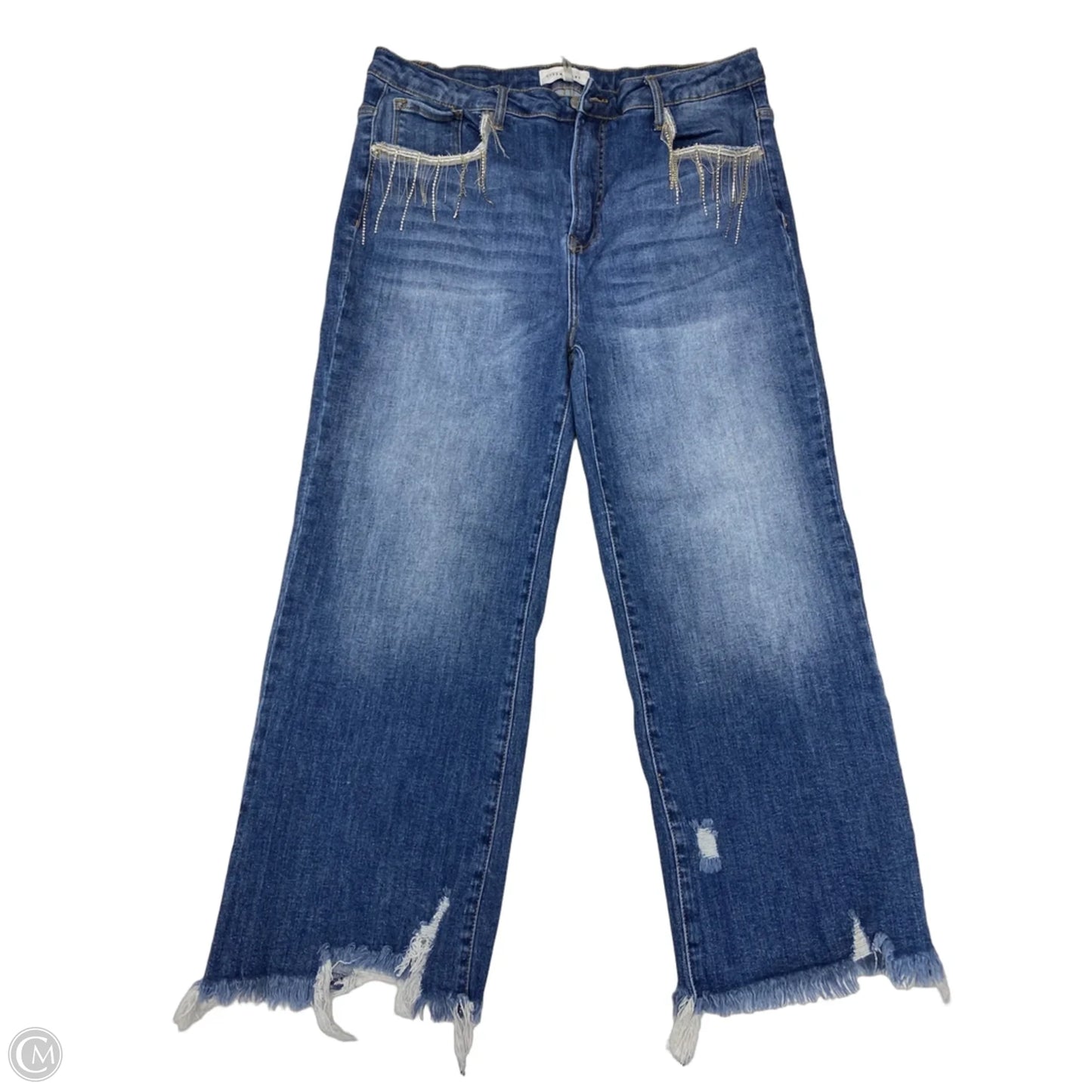 Jeans Straight By Clothes Mentor In Blue, Size: 2x