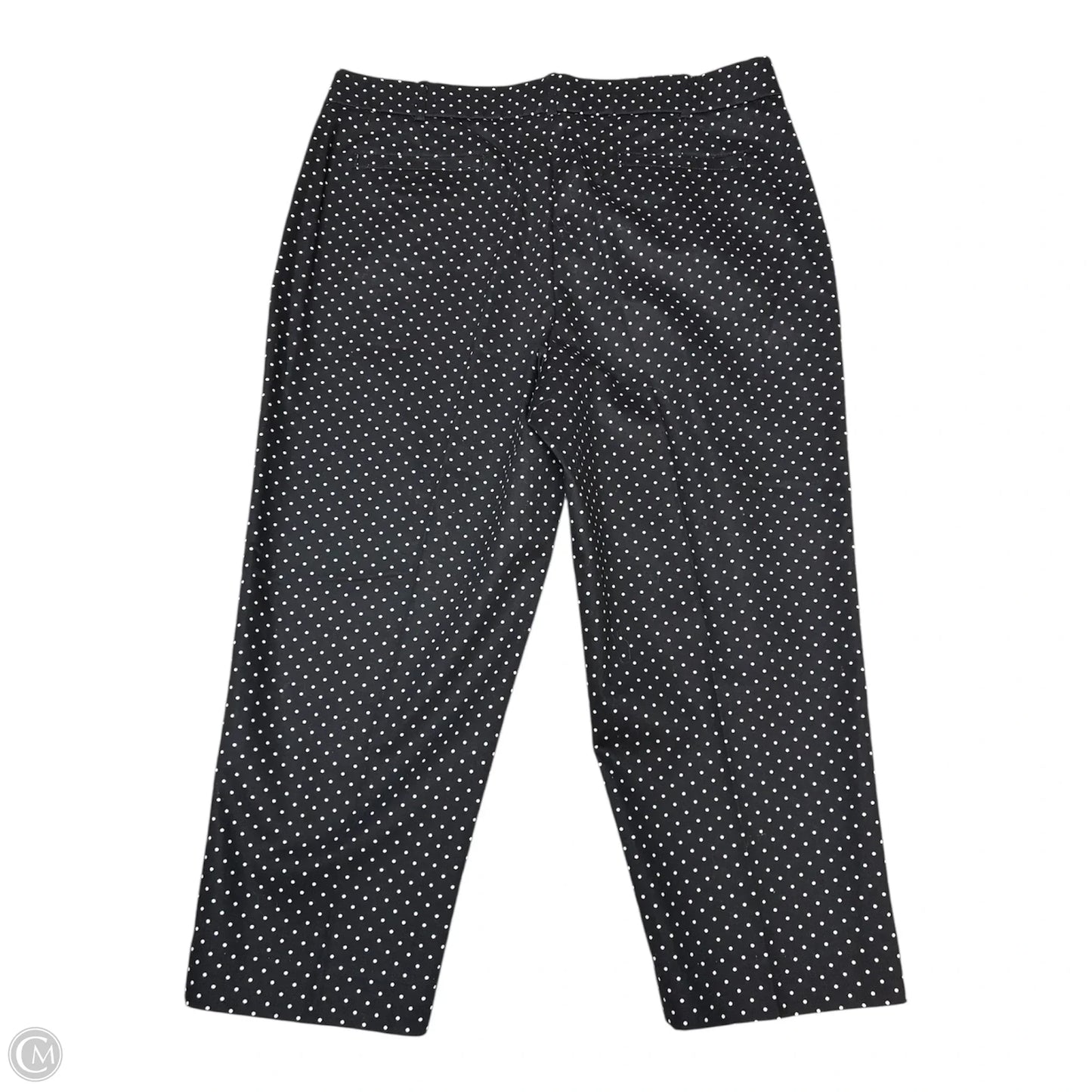 Capris By Kim Rogers In Polkadot Pattern, Size: 10