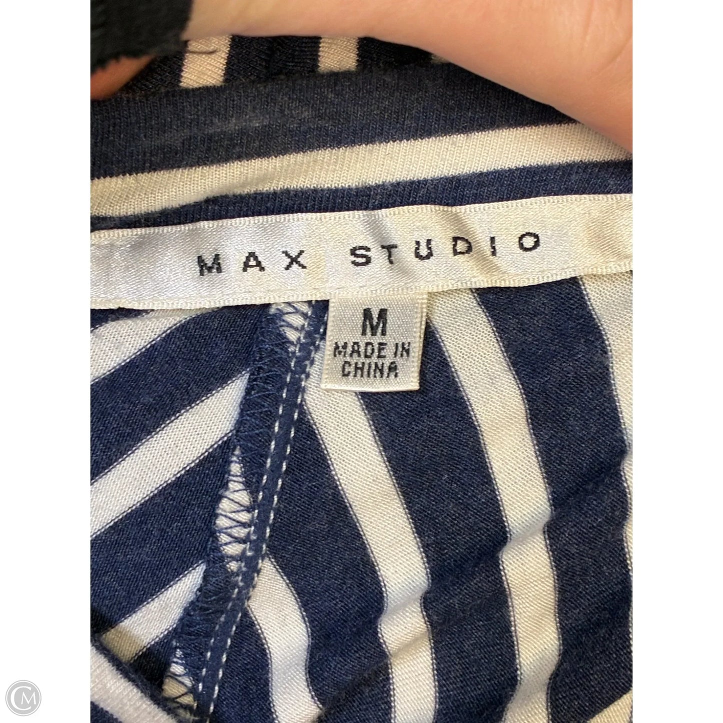 Skirt Maxi By Max Studio In Striped Pattern, Size: M