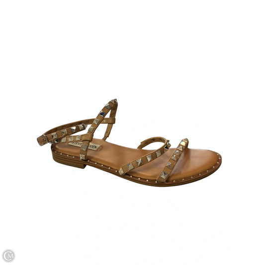 Sandals Flats By Steve Madden In Brown & Silver, Size: 9