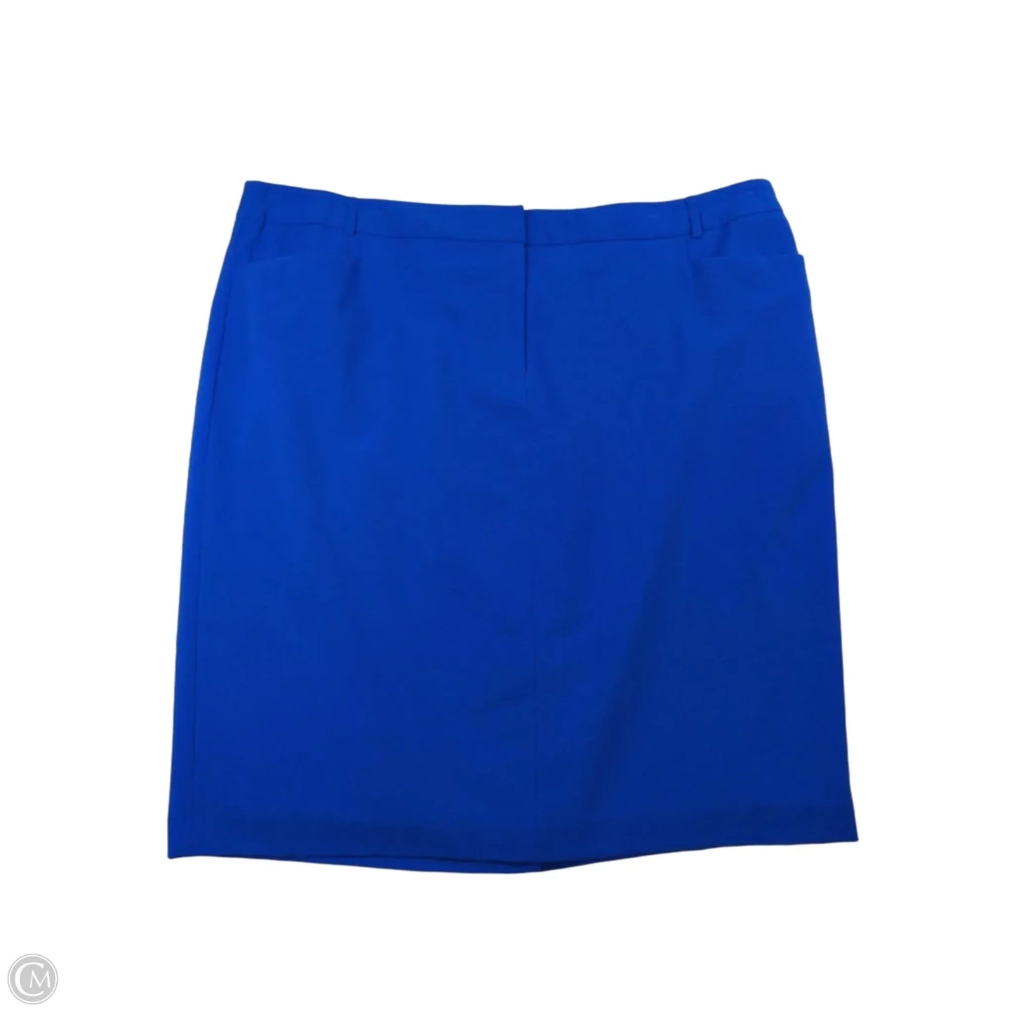 Skirt Mini & Short By Calvin Klein In Blue, Size: 22