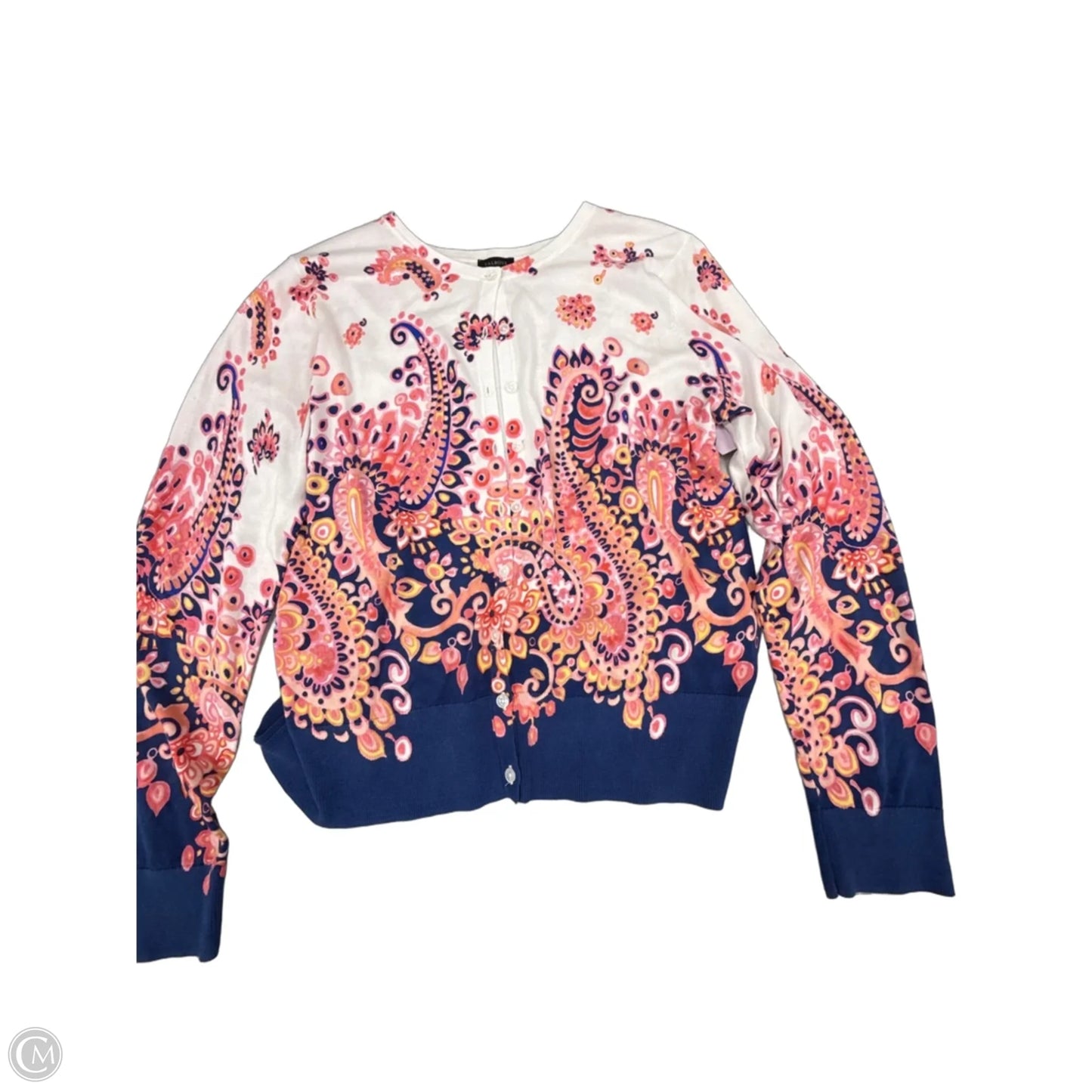 Top Long Sleeve By Talbots In Blue & Pink, Size: Xl
