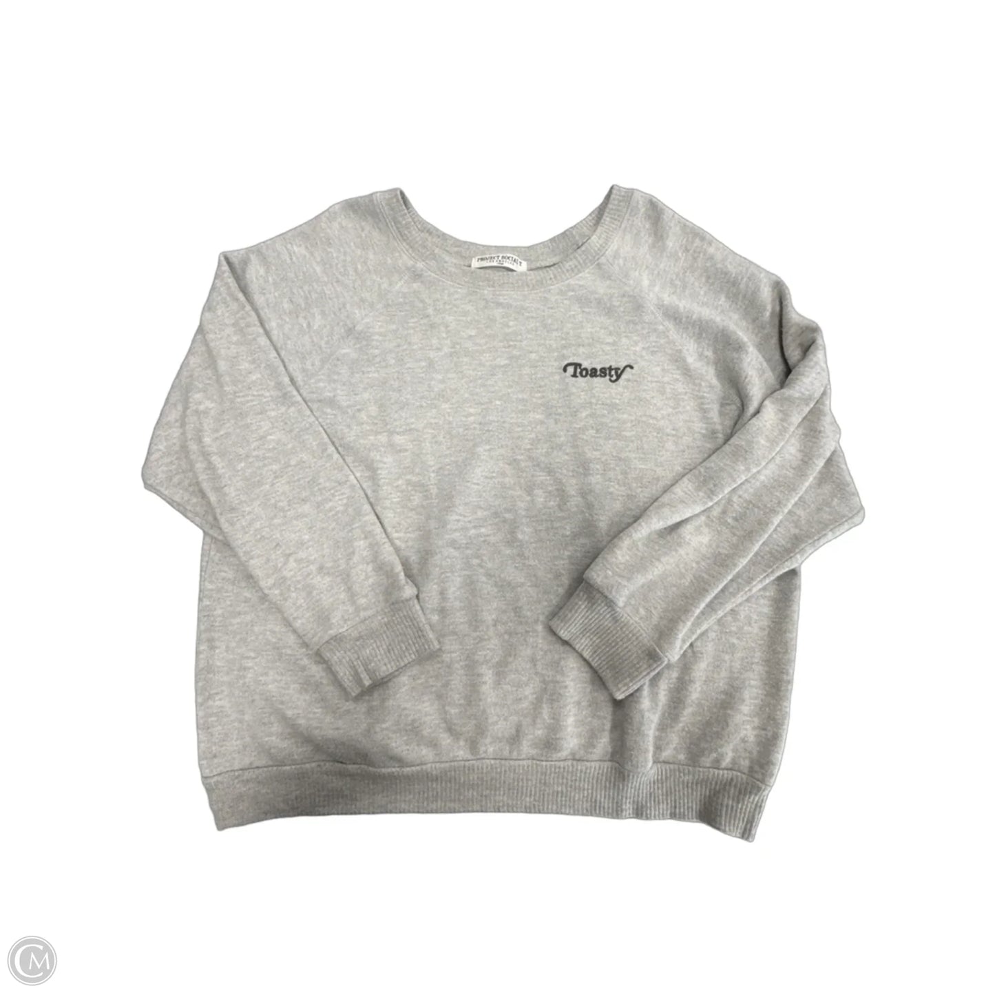 Top Long Sleeve By Project Social Tee In Grey, Size: Xl