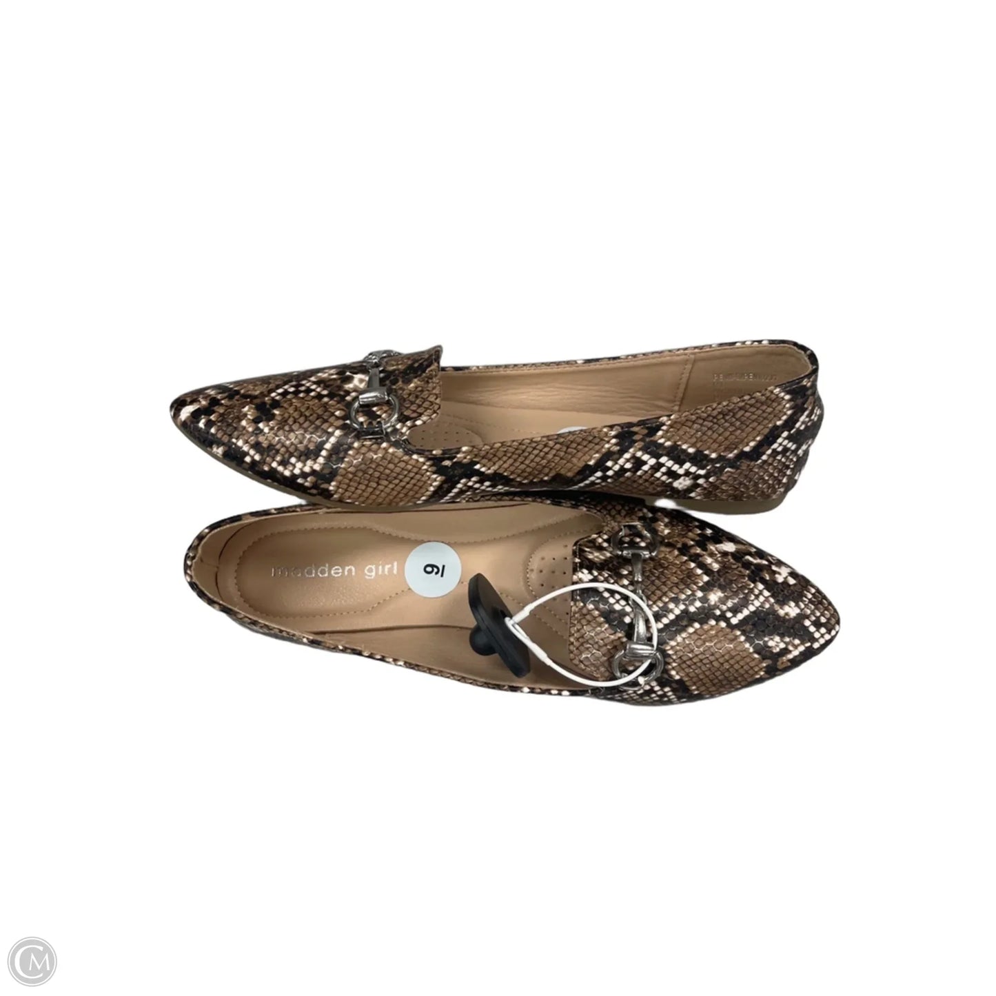 Shoes Flats By Madden Girl In Snakeskin Print, Size: 9