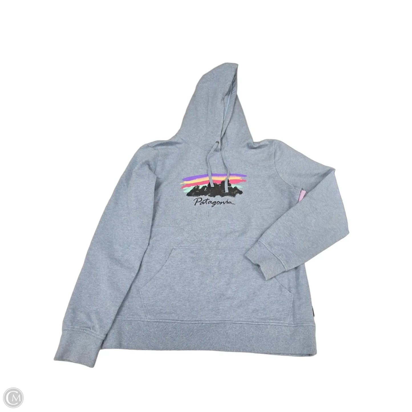 Sweatshirt Hoodie By Patagonia In Blue, Size: L
