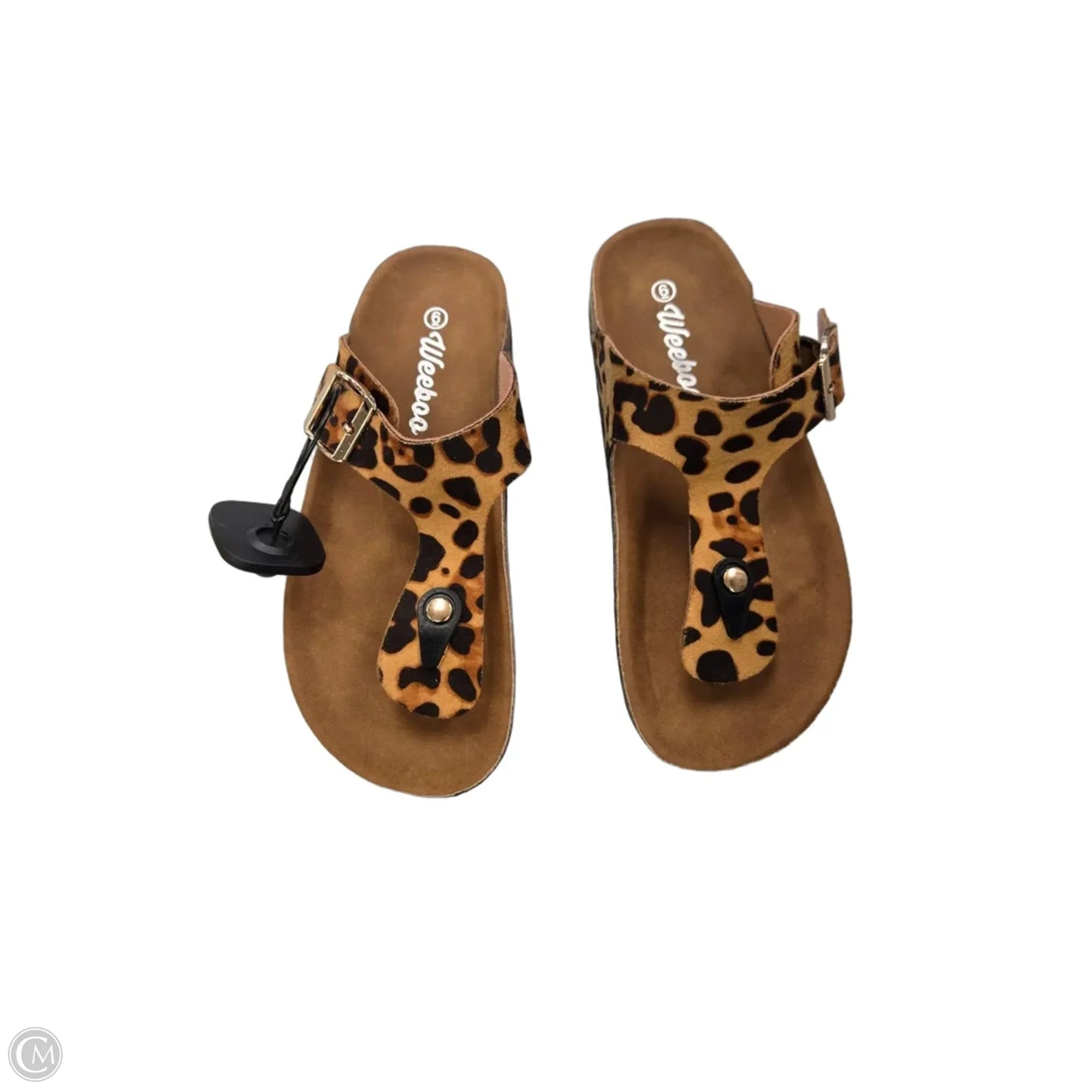 Sandals Flip Flops By Cme In Animal Print, Size: 6