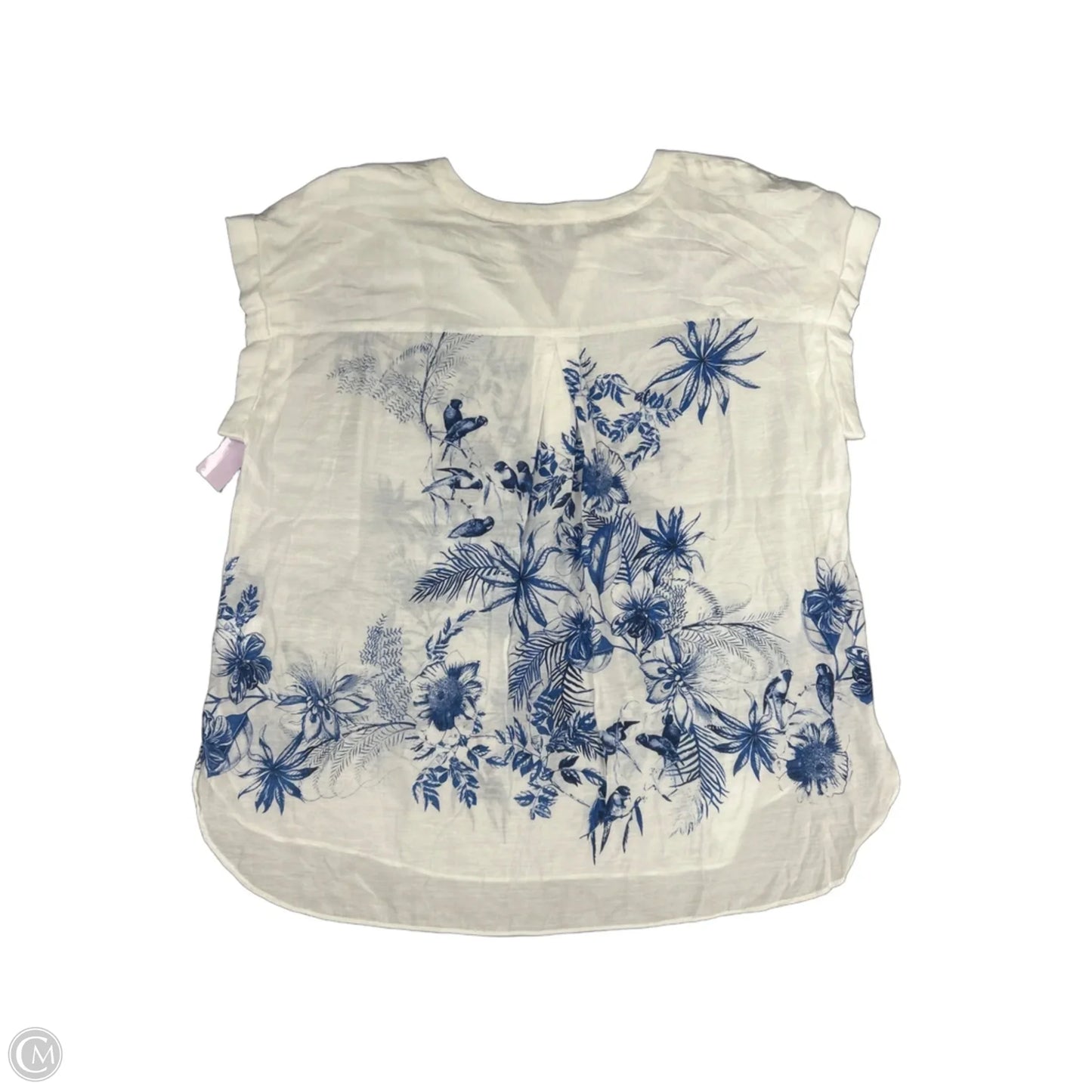 Top Short Sleeve By Rose And Olive In White, Size: 1x