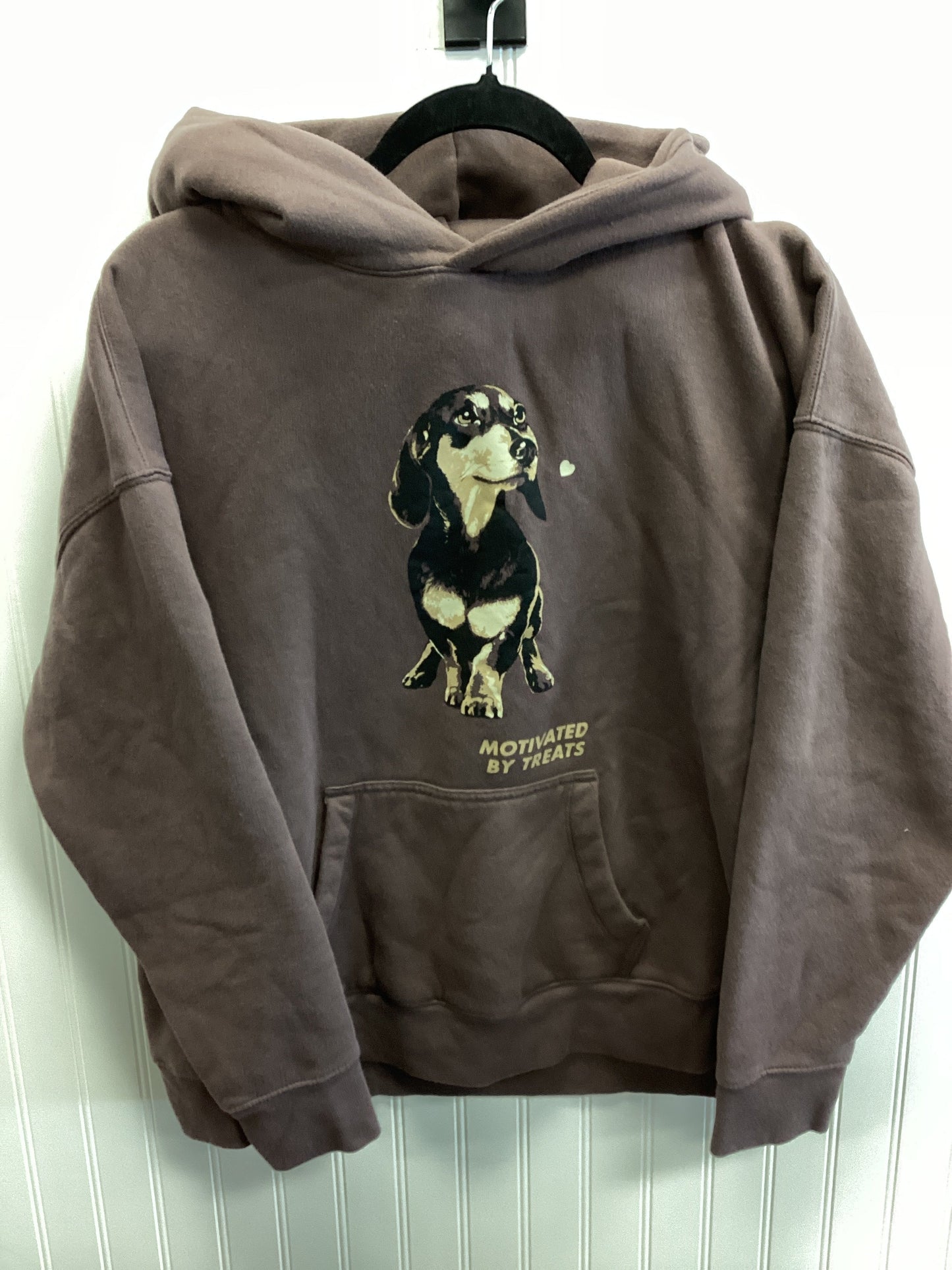 Sweatshirt Hoodie By Wild Fable In Brown, Size:L