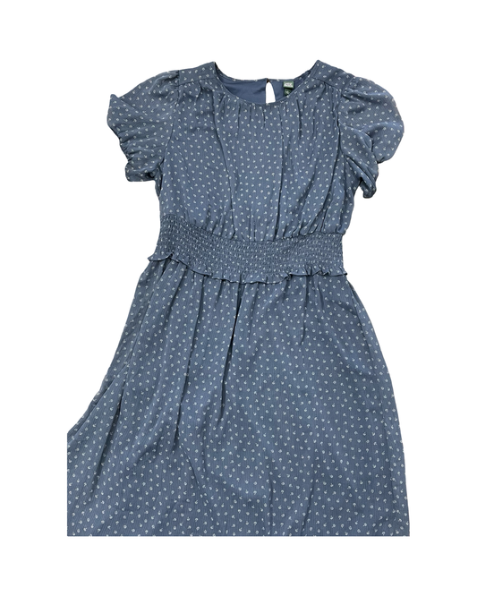 Dress Casual Maxi By Wild Fable In Blue, Size:1X
