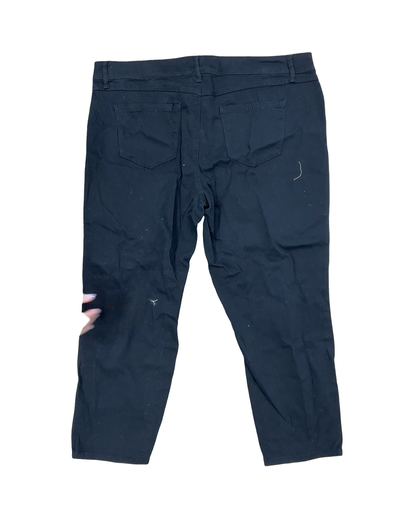 Pants Lounge By Bongo In Black, Size:20