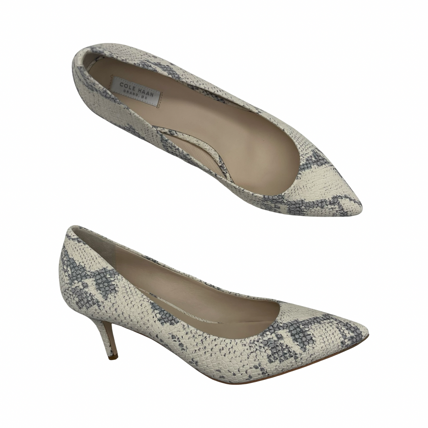 Shoes Heels Kitten By Cole-Haan In Snakeskin Print, Size:9
